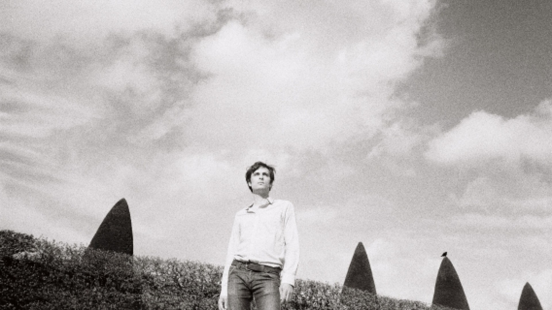 Turzi électronique expérience + Rocky