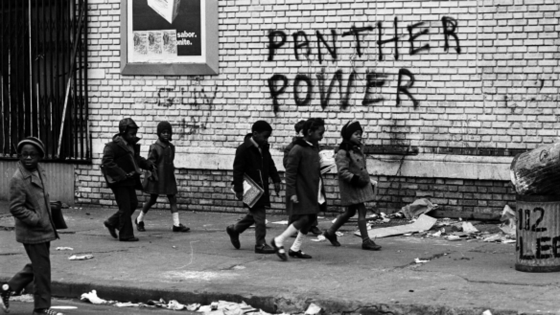 The Black Panthers : Vanguard of a Revolution