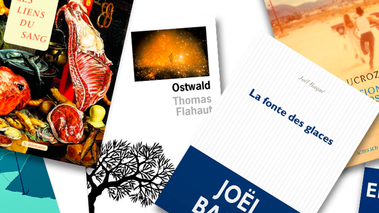 Six romans sélectionnés pour la 1ère édition du Prix du Roman d’Écologie