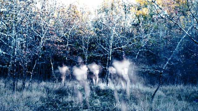 Sur les traces de XPUJIL • Nova Materia invite Agnès Gayraud