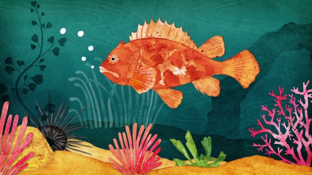 Mon Premier Festival&nbsp;: À l'écoute de la nature