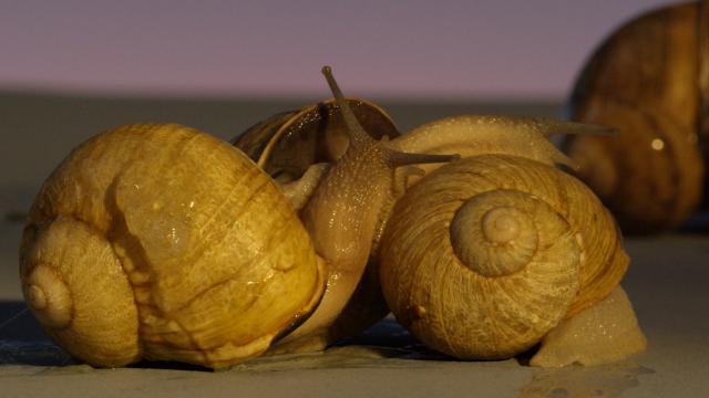 Portfolio #3&nbsp;: Affects high-tech et futur effondré