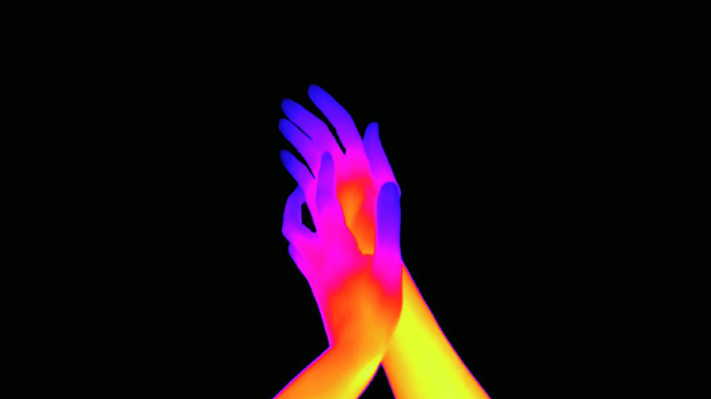 Portfolio #5&nbsp;: Pratiques et pensées de la métamorphose