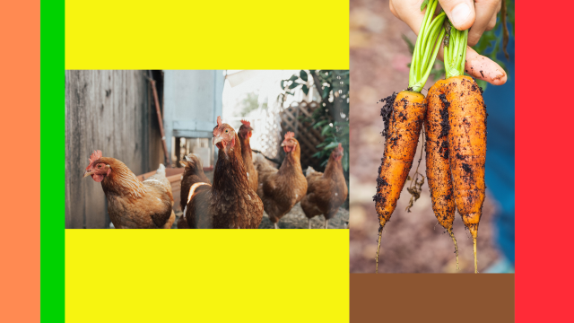 C'est le moment de s'écouter