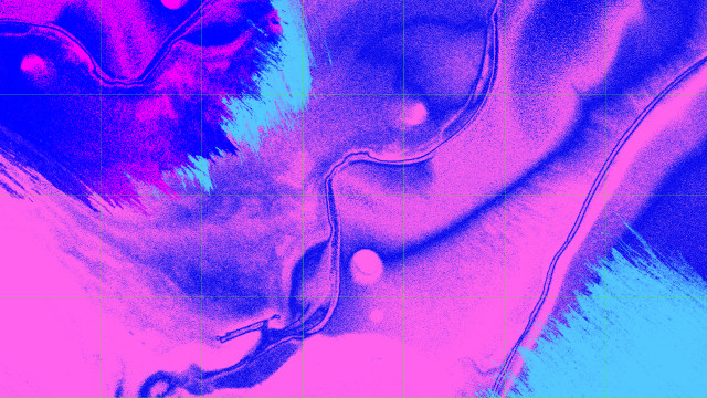 The Absolut Company Creation présente SYMBIOSES