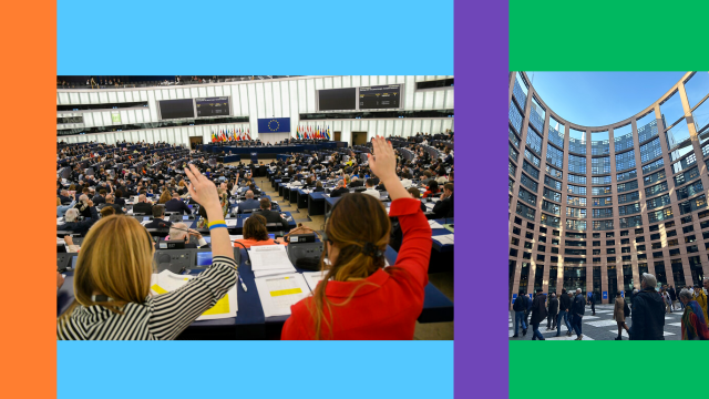 Bruxelles décide de tout&nbsp;? Alors pourquoi voter aux élections européennes&nbsp;?