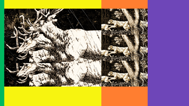 NUIT BLANCHE 2024&nbsp;: Je criais contre la vie. Ou pour elle